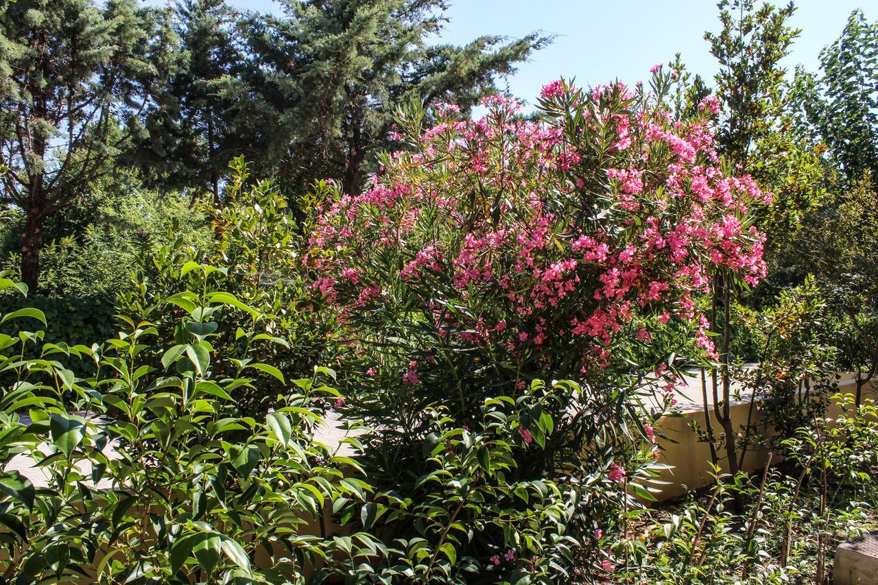 Nireas Resort Corfu Aparthotel Acharavi (Corfu)