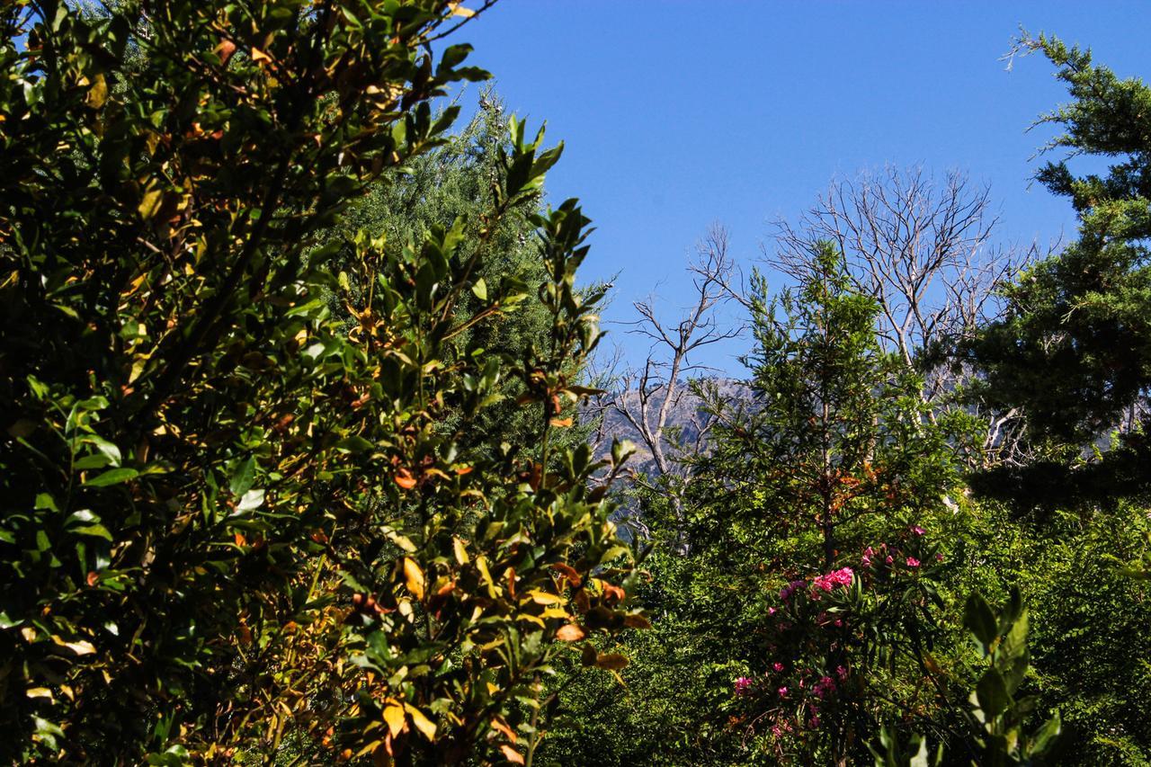 Aparthotel Nireas Resort Corfu